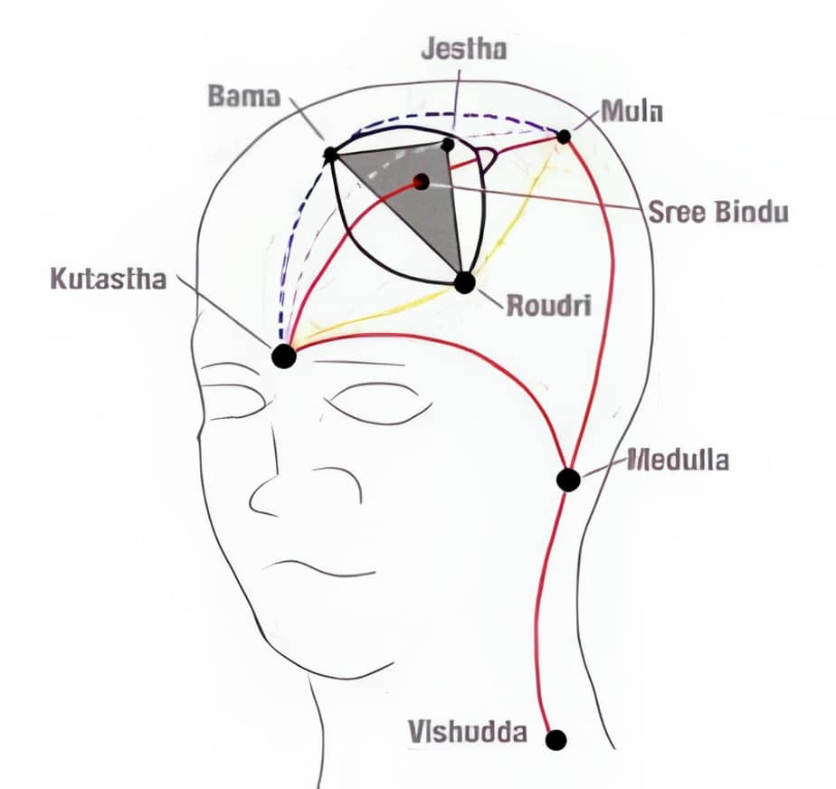 Kutastha El punto entre las cejas, considerado un centro espiritual importante.