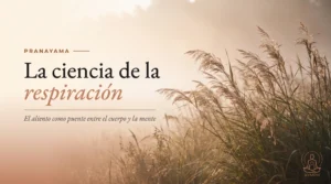 Pranayama: la ciencia de la respiración — cañas al amanecer, el aliento en la naturaleza